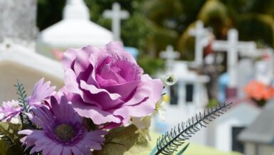 Fleurs devant des croix d'un cimetière